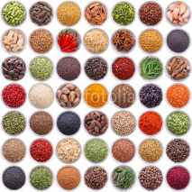 Fototapety large collection of different spices and herbs