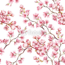 Fototapety Seamless pattern with cherry blossoms. Watercolor illustration.