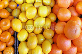 Fototapety Citrus fruits