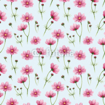 Obrazy i plakaty Cosmos flowers illustration. Watercolor seamless pattern