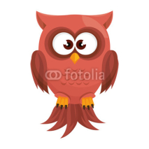 Obrazy i plakaty owl bird  cartoon animal nature cute wisdom vector illustration