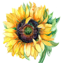 Naklejki sunflower