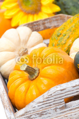 close-up of a pumpkin in a wooden tray and yellow flowers
