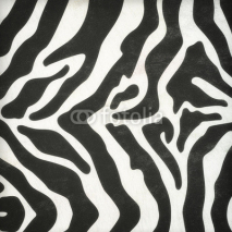 Obrazy i plakaty Zebra skin pattern