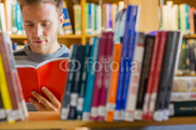 Obrazy i plakaty Male student reading book in the library