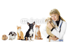 Naklejki kitten and puppy and the vet
