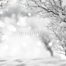 Fototapety winter background