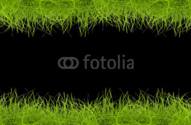 Fototapety grass