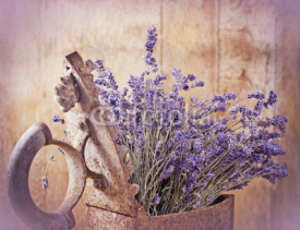 Fototapety Rustic iron (old irin) and dry lavender