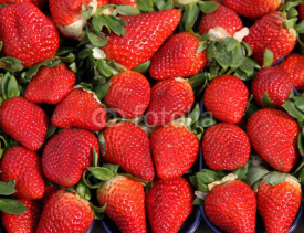 Fototapety red Strawberry to the delight of gourmands