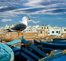 Obrazy i plakaty Blue fishing boats on an ocean coast in Essaouira, Morocco