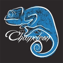 Naklejki Chameleon 1