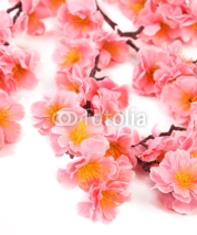 Naklejki Close up of pink flowers.