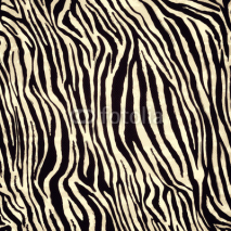 Obrazy i plakaty Zebra pattern