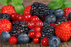 Fototapety Wild berries