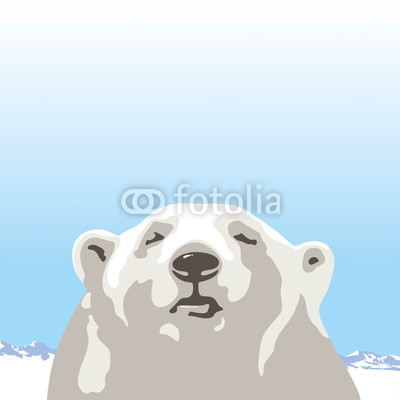 Northern polar bear