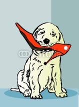 Obrazy i plakaty little dog with womans shoe, pet, cartoon animal