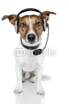 Naklejki dog with headset