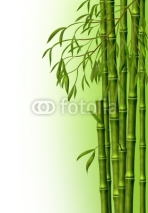 Naklejki Бамбуковая роща, фон из стеблей бамбука