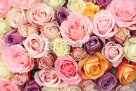 Naklejki Pastel wedding roses