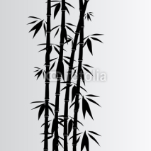 Obrazy i plakaty Gray bamboo background