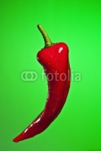 Fototapety red pepper