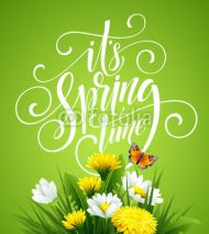 Spring Hand Lettering on background with flowers. Vector illustration