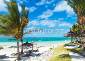 Fototapety rocky beach of mauritius with palm trees and deckchairs