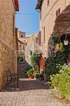 alley with flowers of a small town in Umbria, Italy