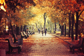 Fototapety Autumn nature landscape. Footpath in the park
