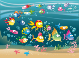 Fototapety Big Family of Fish in the sea