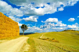 Naklejki Tuscany, lonely tree and rural road. Siena, Orcia Valley, Italy.