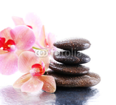 Naklejki Composition with beautiful blooming orchid with water drops and