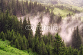 Fototapety Mountain Landscape with fog