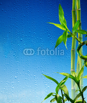 bamboo stalks on blue glass wet - spa background