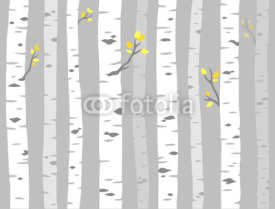 Fototapety Aspen tree pattern