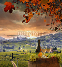 Obrazy i plakaty White wine with barell  in vineyard, Chianti, Tuscany, Italy