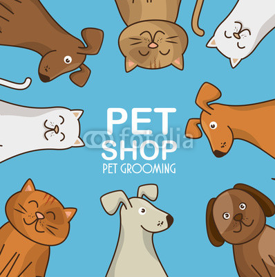 group animals pet shop vector illustration design