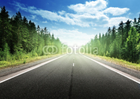 road in deep forest
