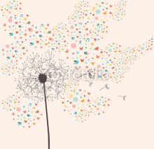 Obrazy i plakaty Spring dandelion illustration