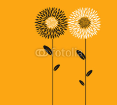 Fototapety Abstract flowers