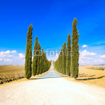 Naklejki Tuscany, Cypress Trees white road rural landscape, Italy, Europe