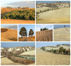Naklejki collage with tuscan landscape, Crete Senesi, Orcia
