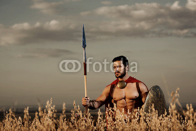 Athletic warrior like spartan among grass in field.