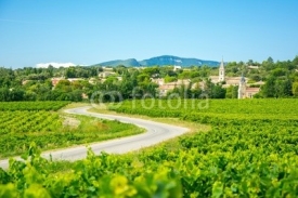 Fototapety Vignes et village en Provence, France