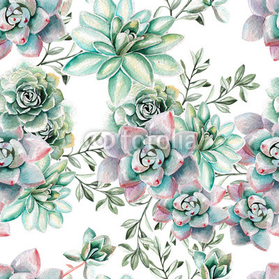 Water color pattern with succulents . Illustration