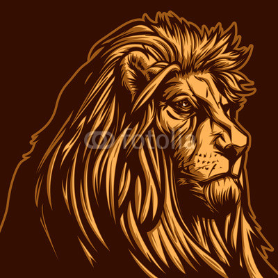 Lion Head C