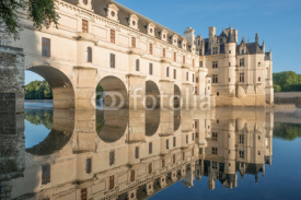 Chenonceau castle, built over the Cher river , Loire Valley,France,at dawn.