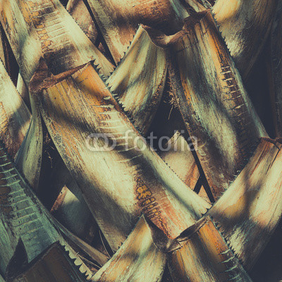 Abstract vintage tropical natural pattern. Retro toned.