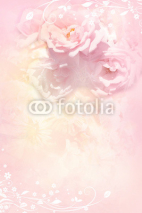 Naklejki Beautiful, soft roses, romantic background